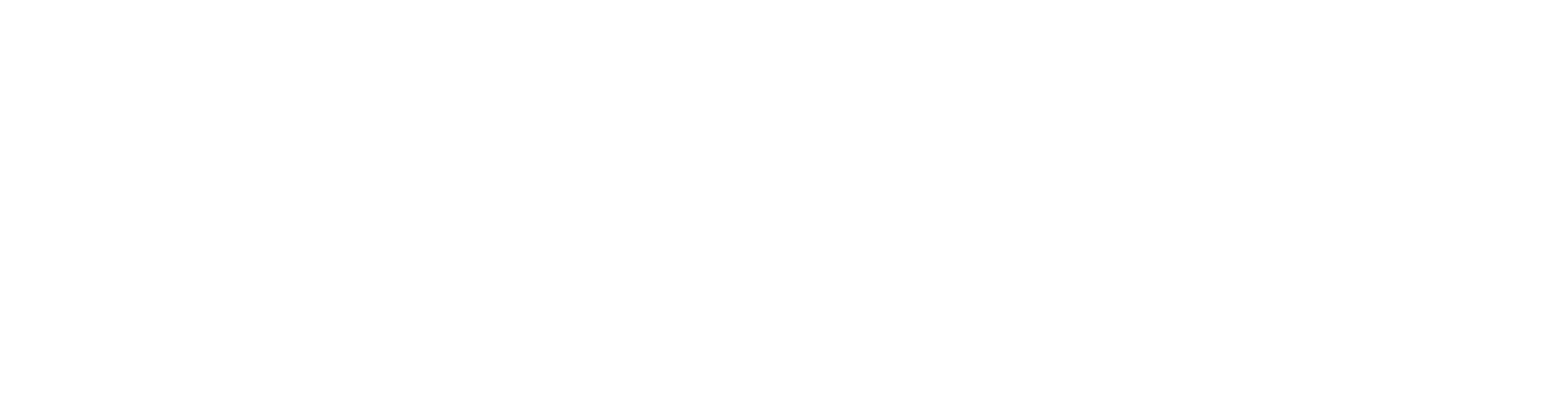 Logo Brandon D